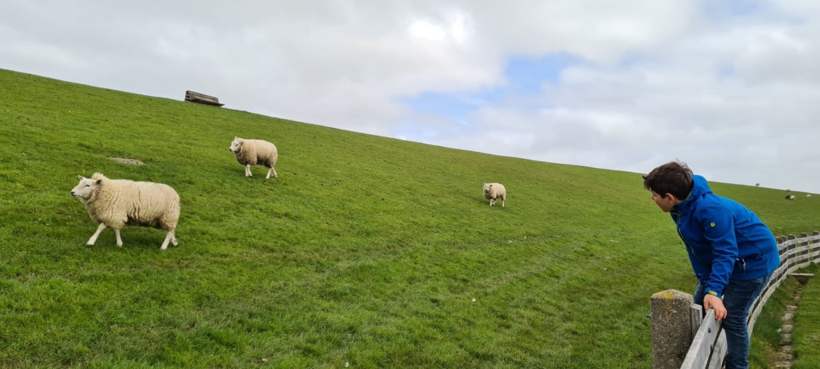 Tips Friesland met kinderen Tips Friesland met kinderen