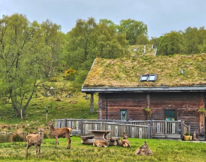 Log cabin Schotland in de natuur