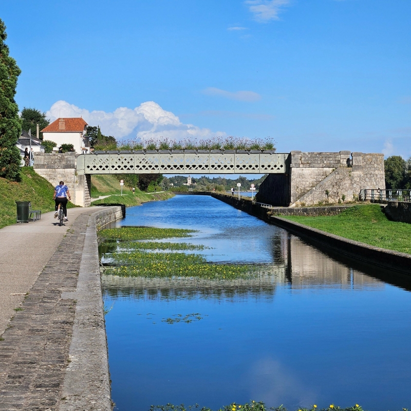 Loire van Orléans naar Combleux