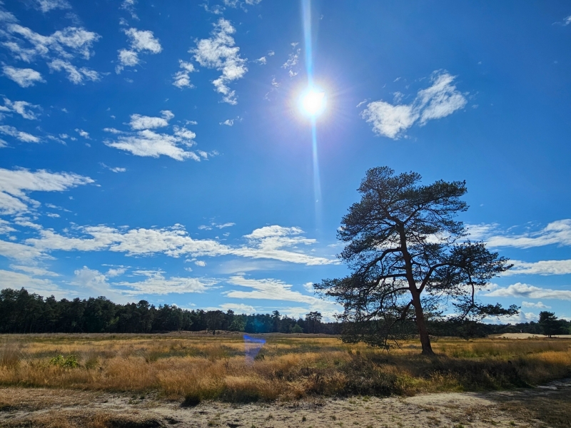 Loonse Duinen met gezin tips Loonse Duinen met gezin tips