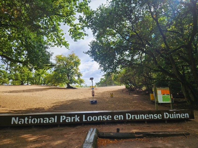Loonse Duinen met kinderen Loonse Duinen met kinderen