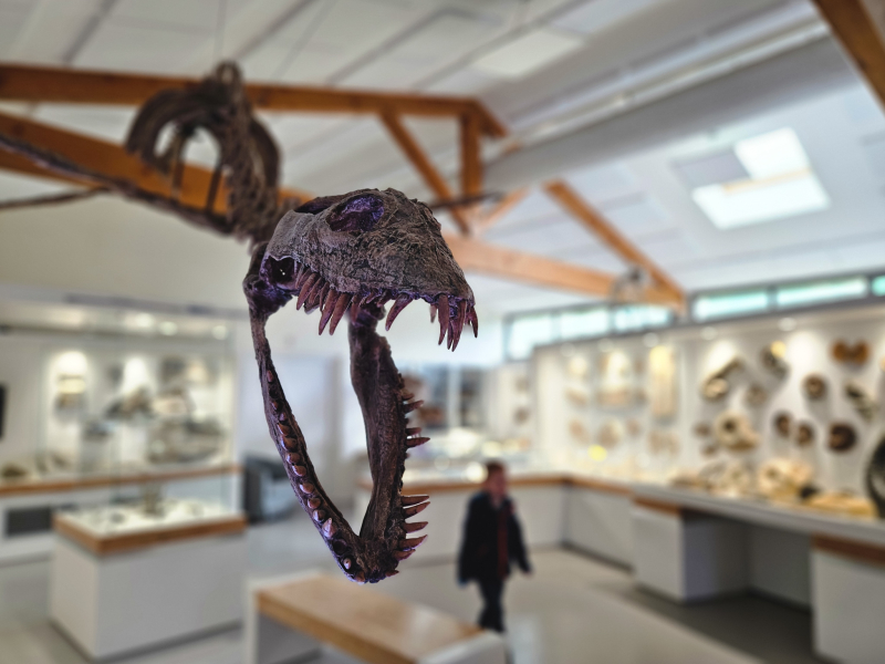 Museum dinosaurussen Ardeche Frankrijk
