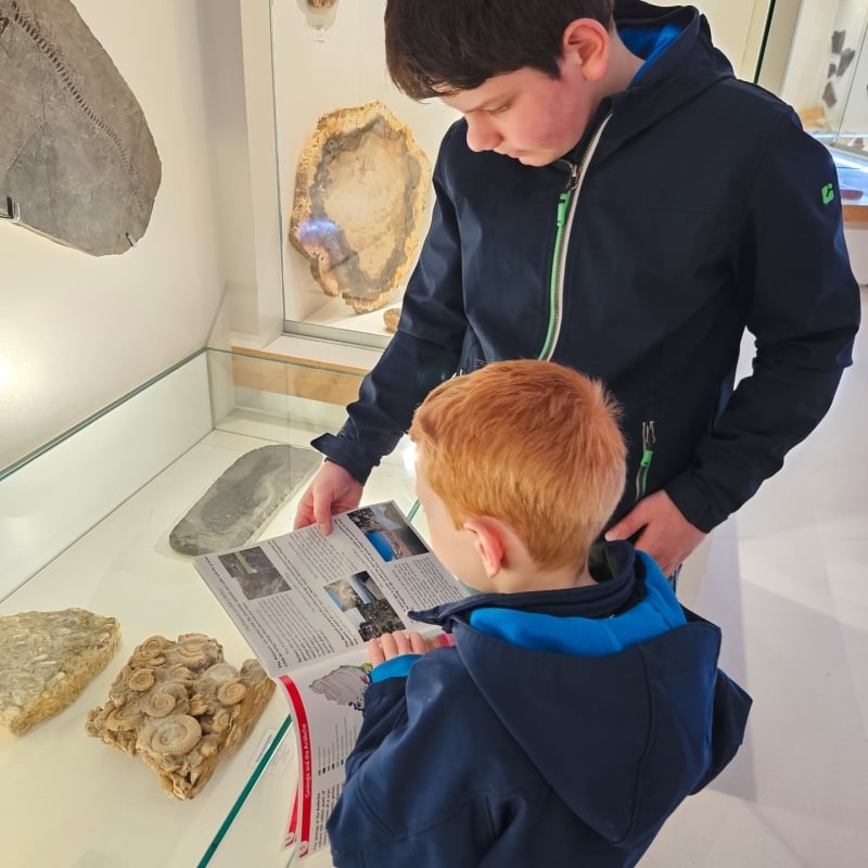 Museum van Ardeche met fossielen