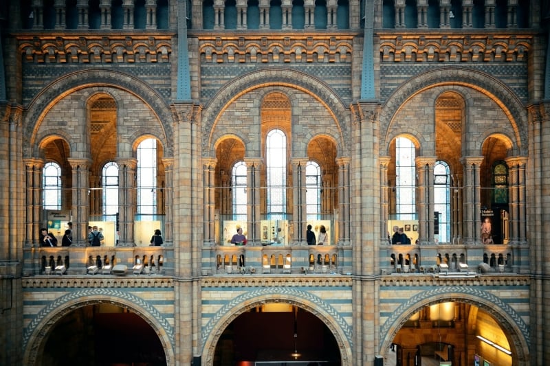 Natural History Museum Londen met kinderen