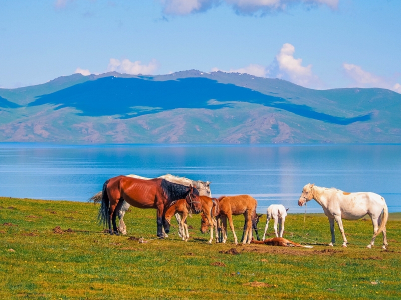 Natuur van Kirgizië