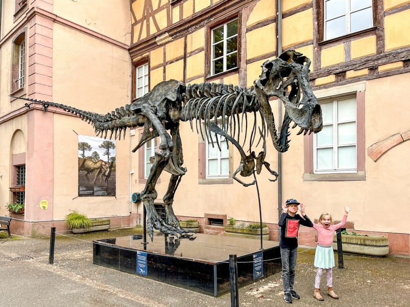 Natuurhistorisch museum Colmar