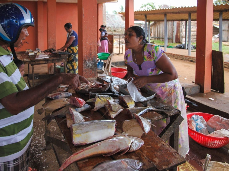 Negombo met kinderen samen naar de markt Negombo met kinderen samen naar de markt