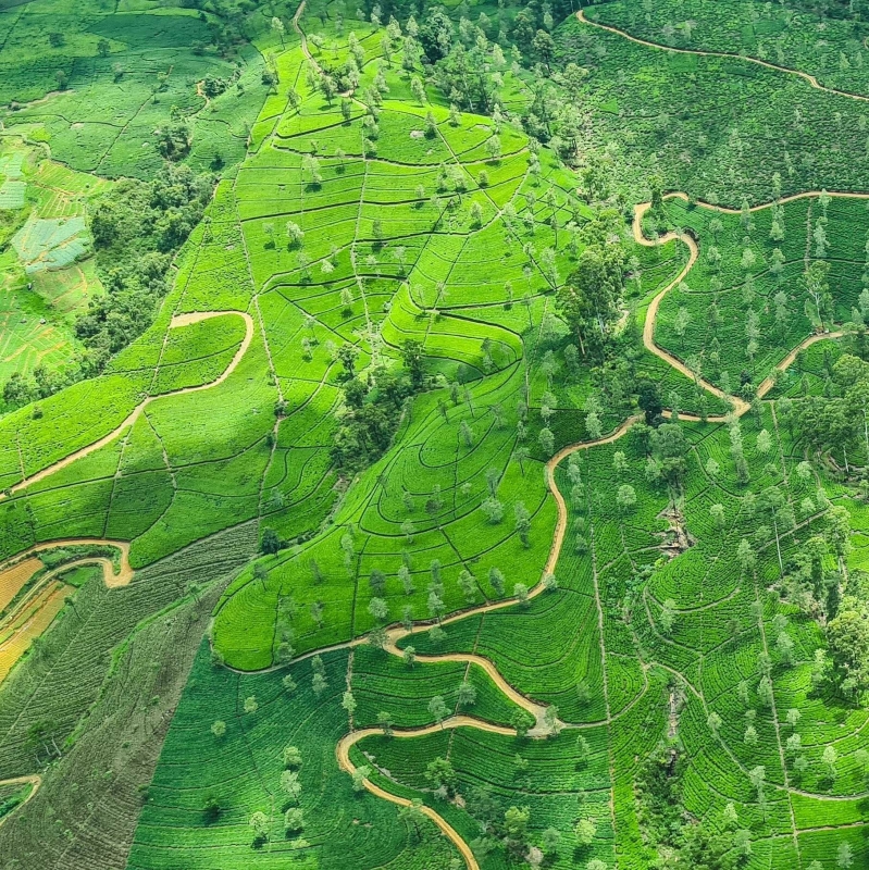 Nuwara Eliya met een watervliegtuig