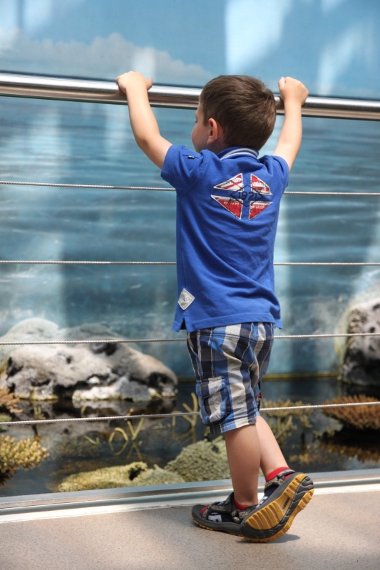 Oceanário de Lisboa met kinderen: ontdek de oceanen
