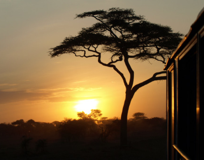 Oost-Afrika met kinderen