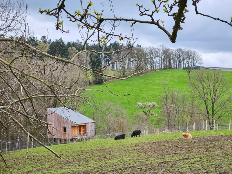 Overnachten Forestia wildpark Ardennen