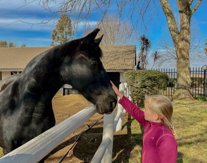 Paarden van Crestwood Estate