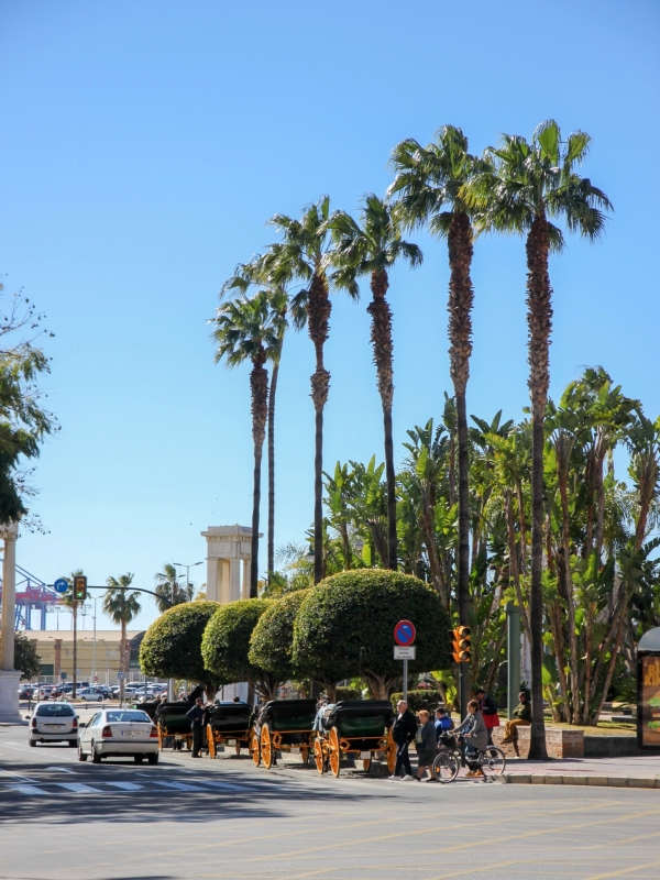 Palmboulevard en paardenkoetsen in Málaga Palmboulevard in Málaga met paardenkoetsen en verkeer op de achtergrond