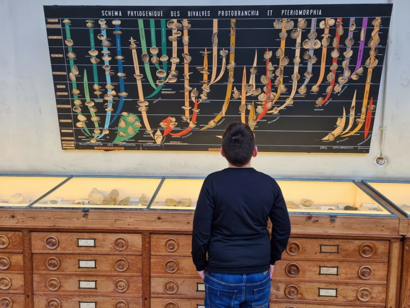 Parijs met tiener Galerie de paléontologie