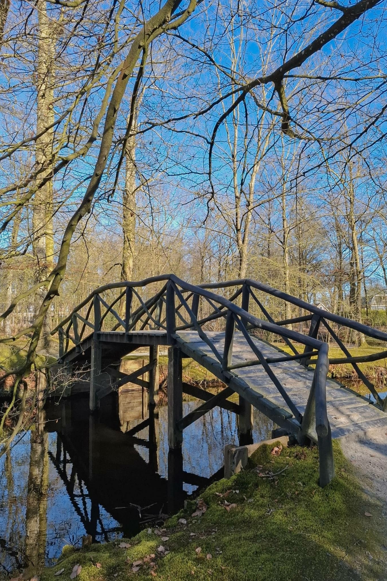 Park Vijversburg Leeuwarden met kinderen