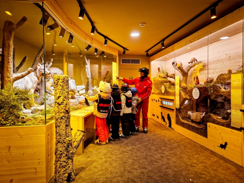 Peisey-Vallandry Muséum des Animaux de Montagne