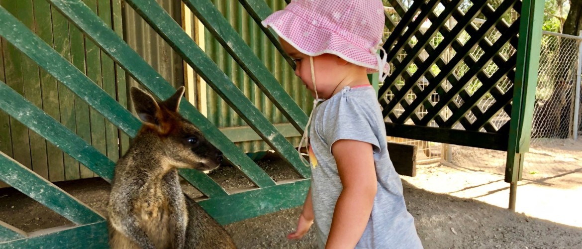 Een kindvriendelijke tussenstop in Port Macquarie