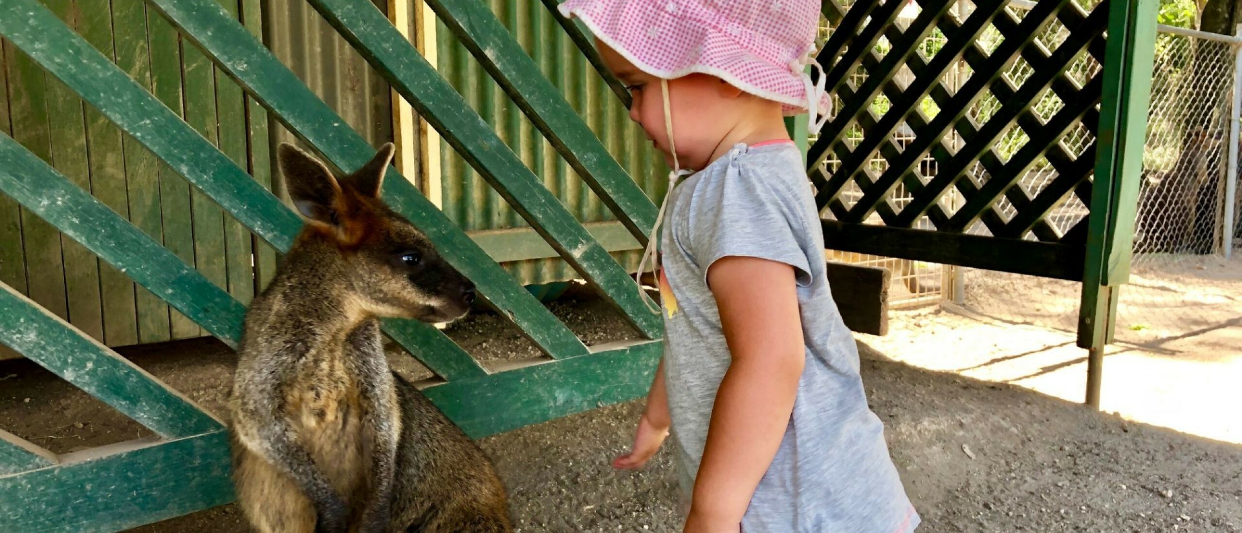 Een kindvriendelijke tussenstop in Port Macquarie