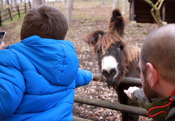 Grotten van Han met kinderen