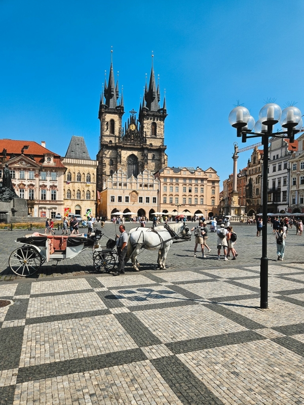 Praag highlights fietsen met gezin
