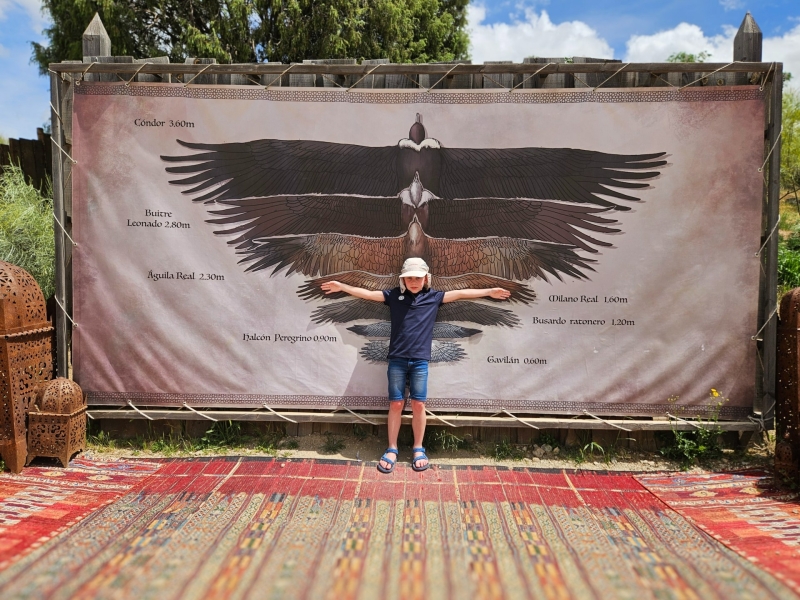 Puy du Fou Spanje kinderen roofvogels spanwijdte Puy du Fou Spanje kinderen roofvogels spanwijdte