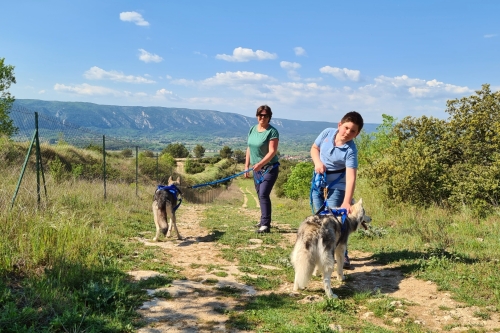 Qanittak Luberon wandelen met husky