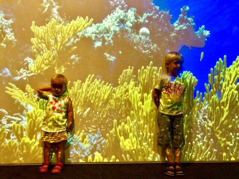 Brisbane met kinderen: interactieve tentoonstellingen in het Queensland Museum