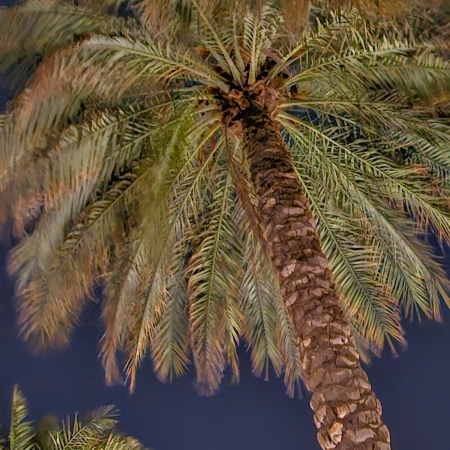 Ras al-Khaimah met kinderen