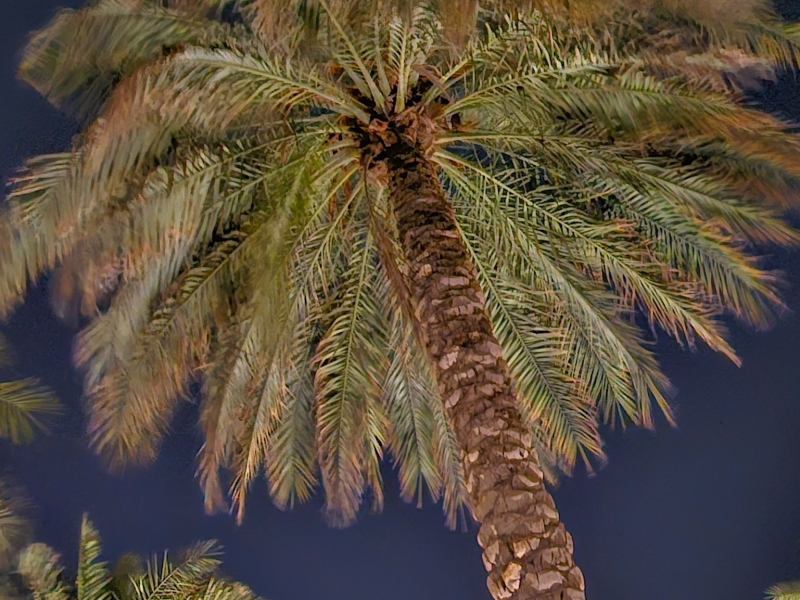 Ras al-Khaimah met kinderen