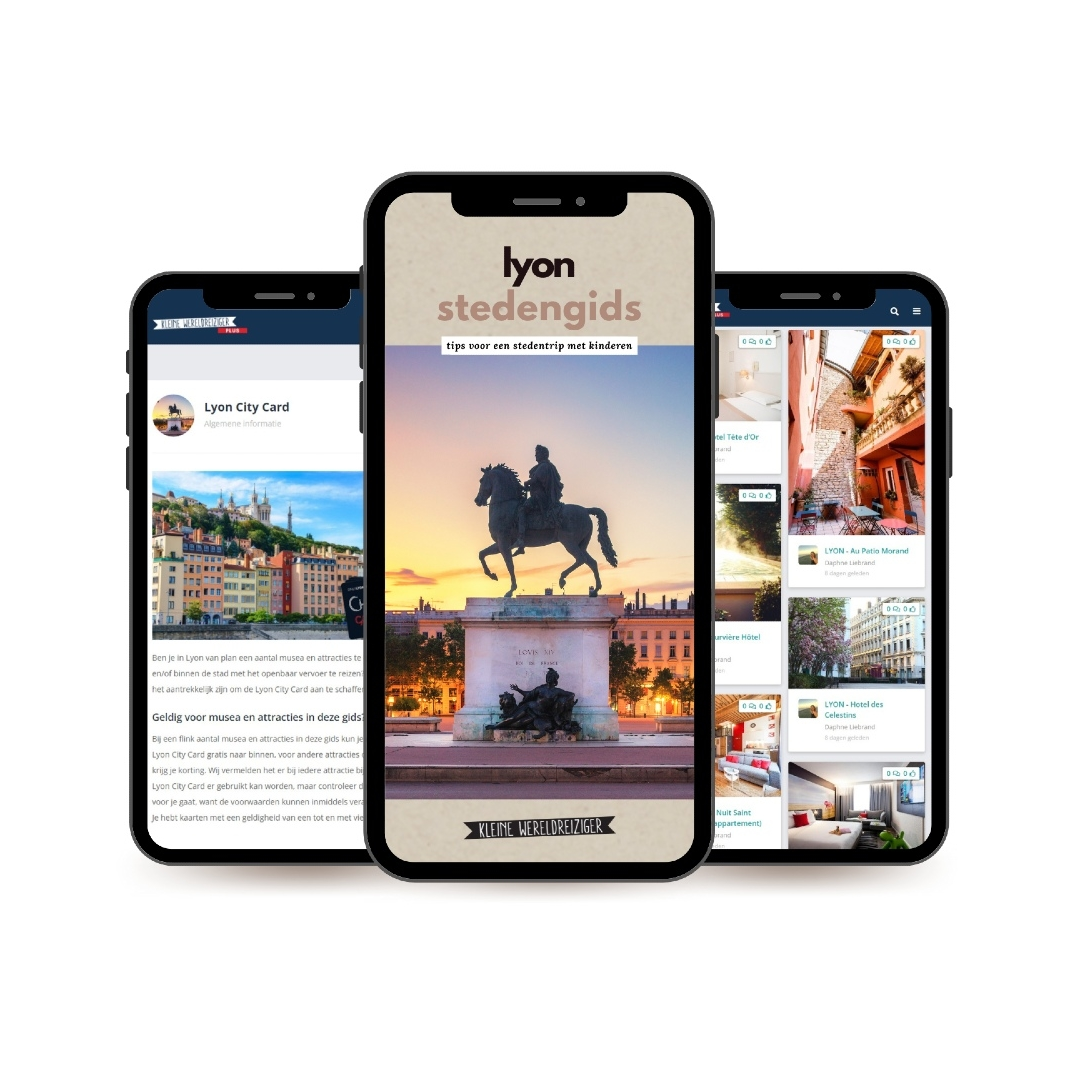 Reisgids Stedentrip Lyon met kinderen