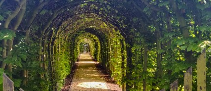 Rennen en kikkervisjes spotten bij Landgoed Beerschoten