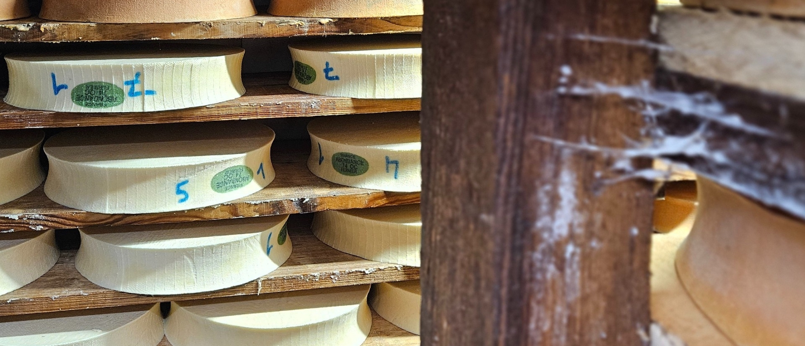 Kaasrijping van Abondance op houten rekken in de Haute-Savoie