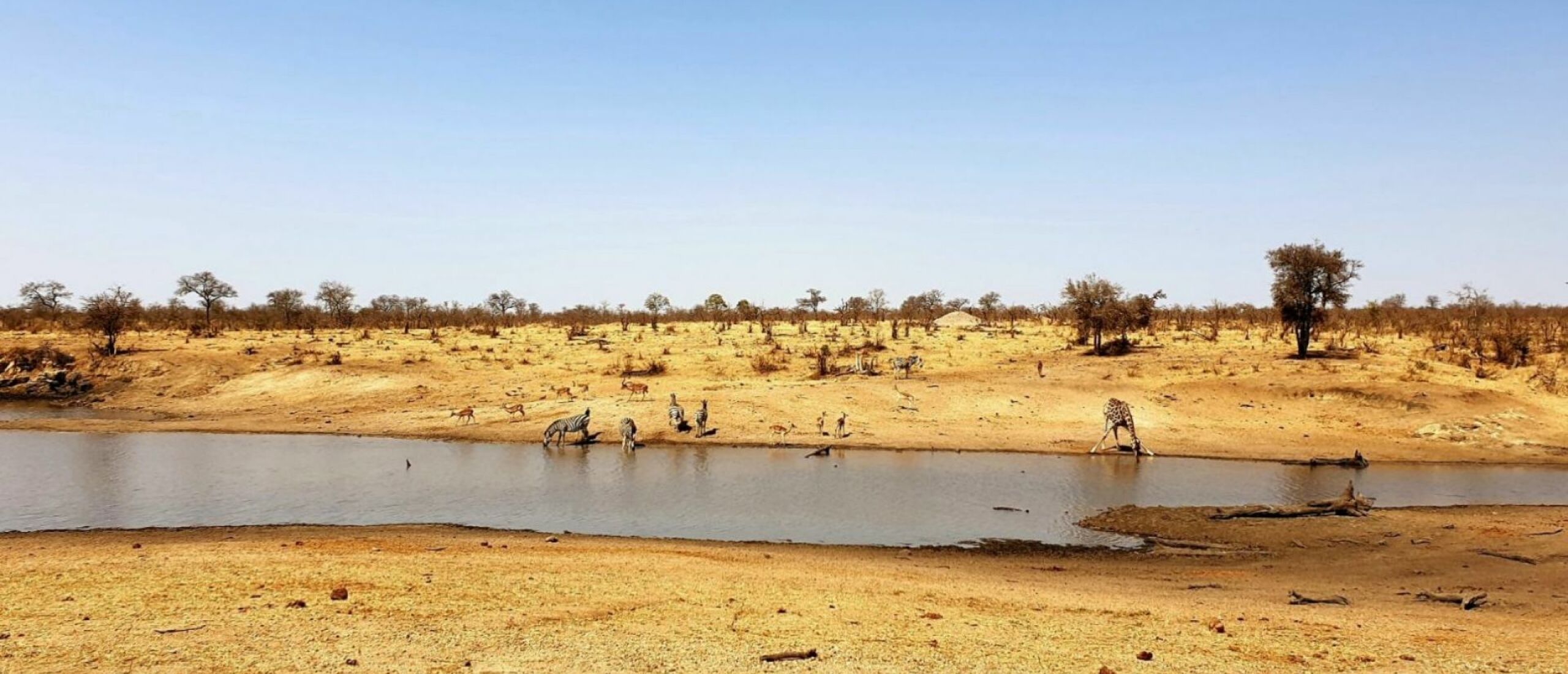 Roadtrip Zuid-Afrika met kinderen