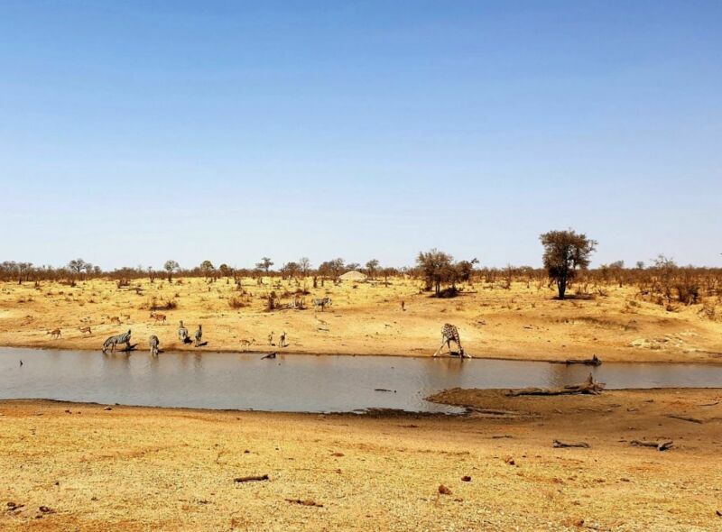 Roadtrip Zuid-Afrika met kinderen Roadtrip Zuid-Afrika met kinderen