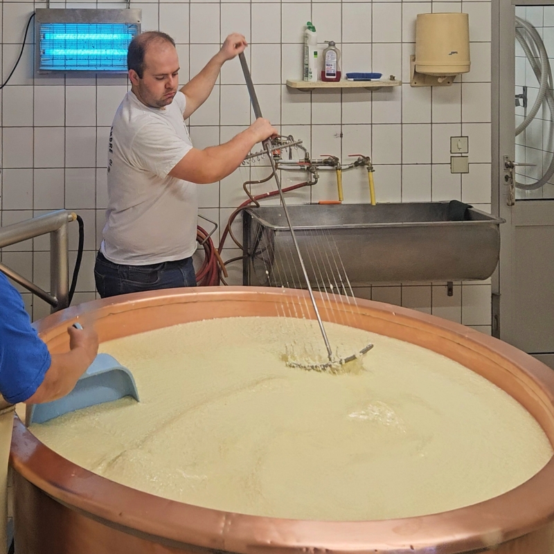 Ambachtelijke productie van Abondance kaas met wrongel in koperen kaastobbe