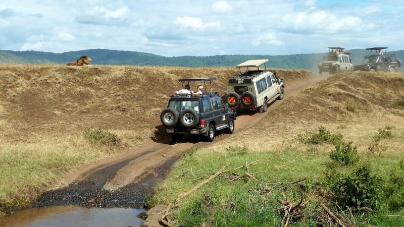 Safari Tanzania met kinderen