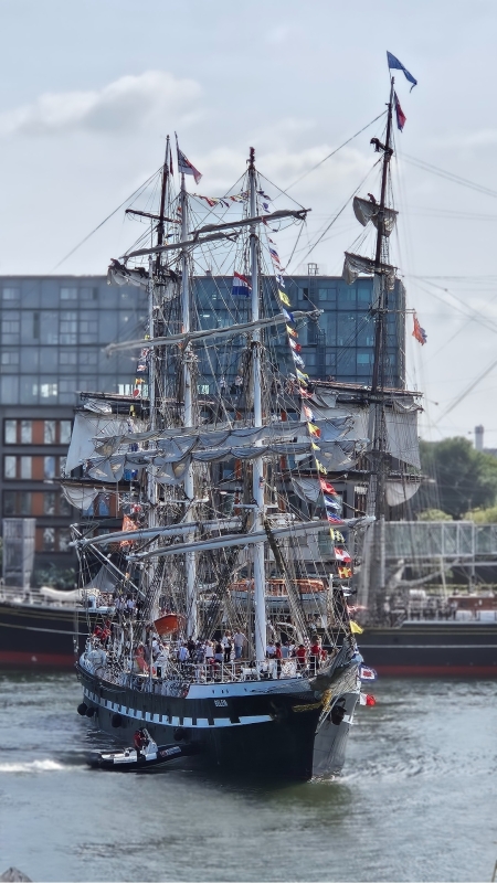 SAIL-in Amsterdam met kinderen