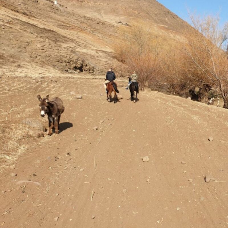 Paardrijden in Leshoto met kindern
