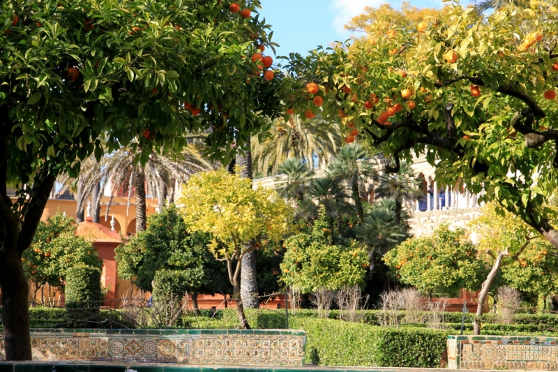 Sevilla met kinderen