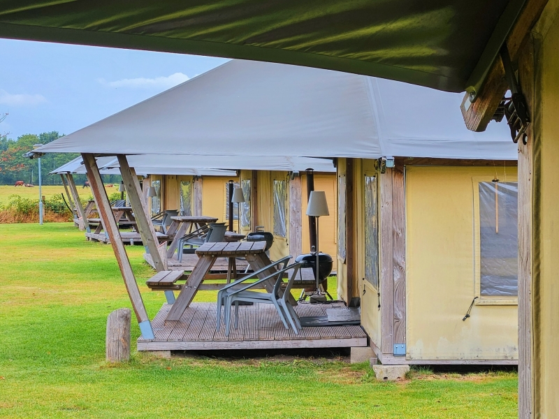 Slapen in luxe tent met pony brabant