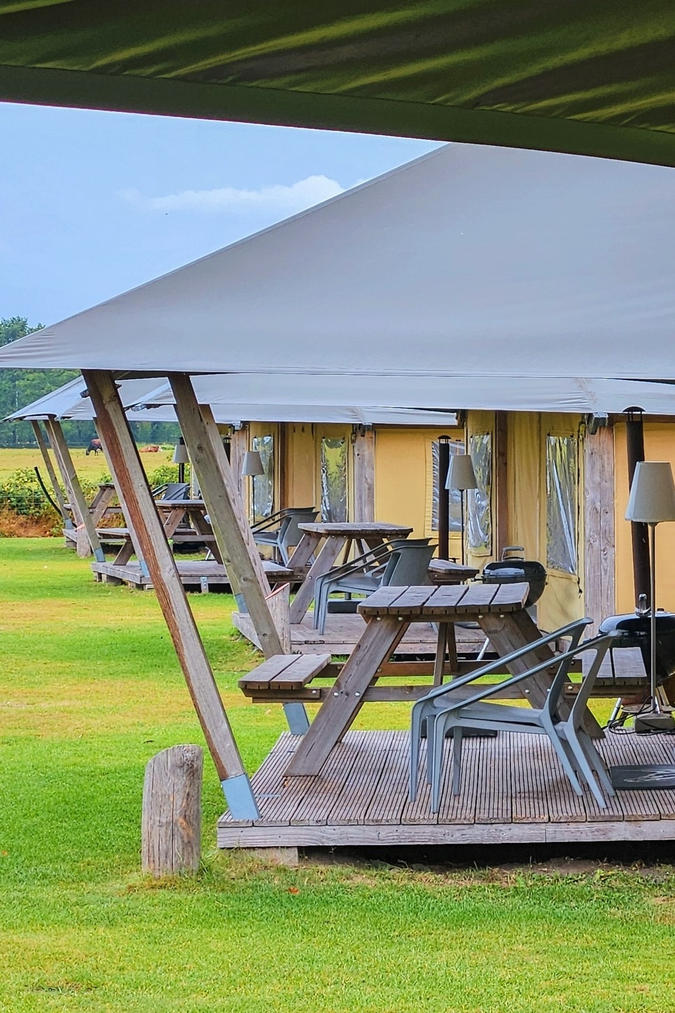 Slapen in luxe tent met pony brabant Slapen in luxe tent met pony brabant