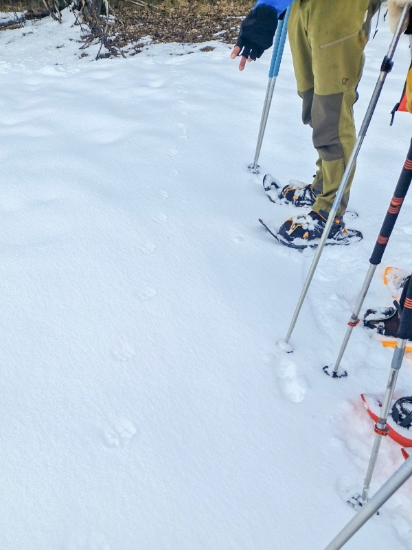 Sneeuwschoenwandelen Frankrijk met kinderen