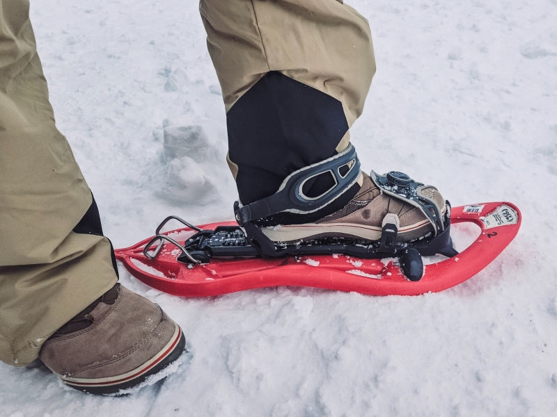 Sneeuwschoenwandelen in Les Gets Frankrijk