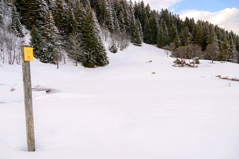 Sneeuwschoenwandelen in Meribel met kids