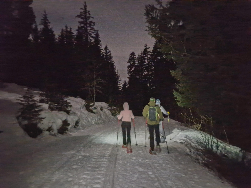 Sneeuwschoenwandeling Les 3 Vallées