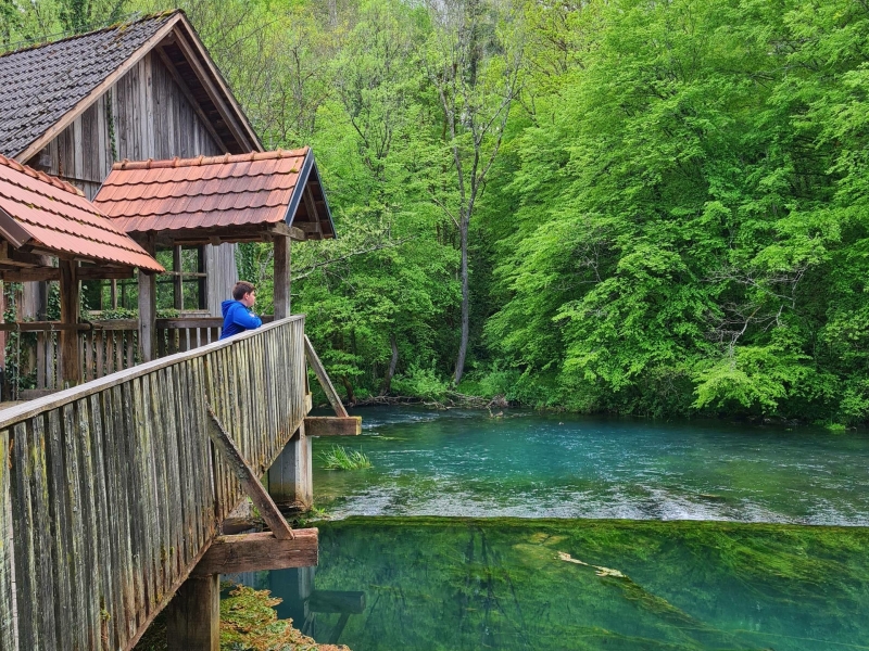 Spring of the Krupa River