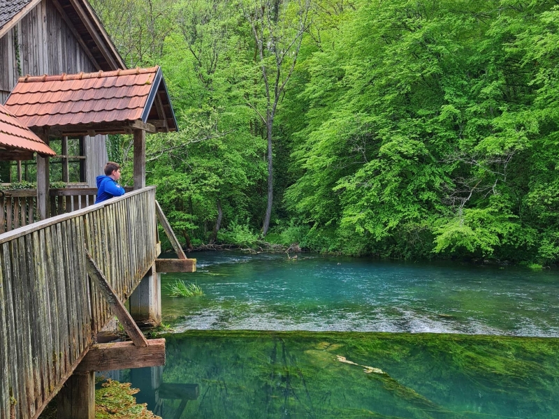 Spring of the Krupa River