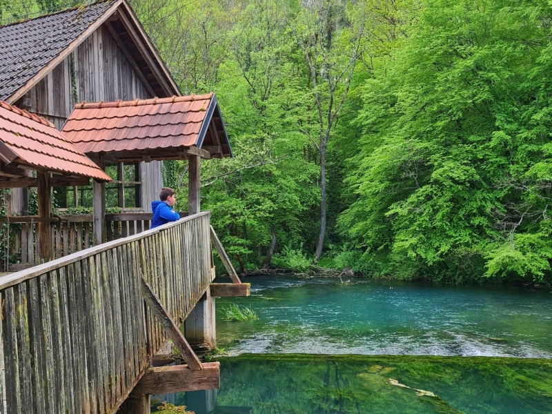 Spring of the Krupa River
