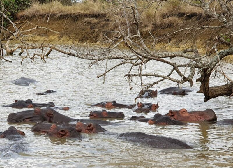 St Lucia Zuid-Afrika met kinderen