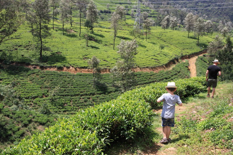 Wat is leuk in Sri Lanka met kinderen?